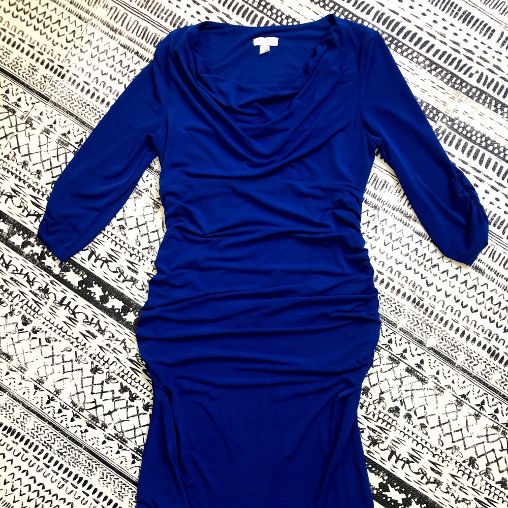 Pea in the Pod Maternity Dress